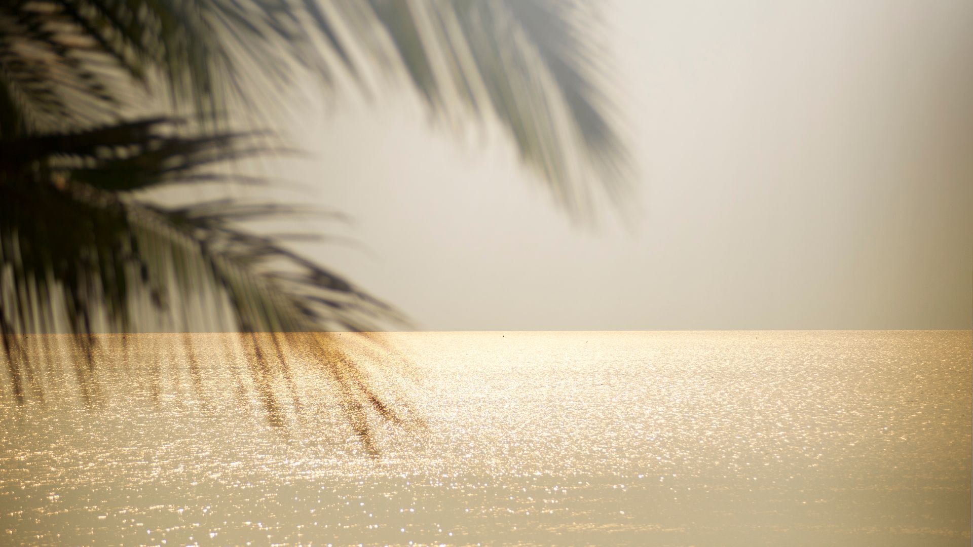 The Racine Unified Sub Case: A Deep Dive into the Justin Beaton Teacher ...